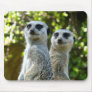 Two Meerkats Mousepad