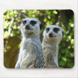 Two Meerkats Mousepad