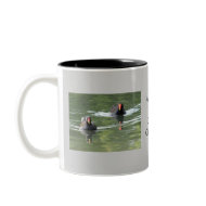 Two Moorhens mug
