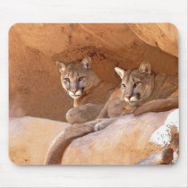 two mountain lions mousepad by mrsrnj two mountain lions mousepad
