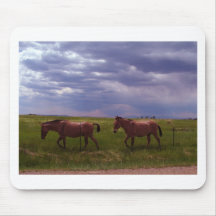 Two Mules Mouse Pads