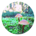 two mushrooms stickers by Eyefish two mushrooms stickers