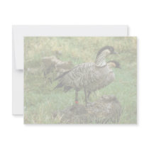 Two Nene Geese (Hawaiian Species) invitations by animalpark Two Nene Geese (Hawaiian Species) invitations
