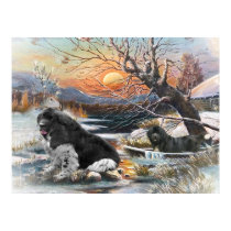 Two Newfies winter scene posters by friskybiz Two Newfies winter scene posters