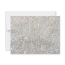 Two nutria invitations