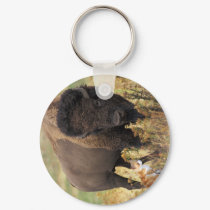 Two of a Kind keychains