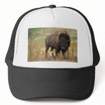 Two of a Kind Mesh Hats
