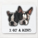 Two of a Kind Mouse Pads
