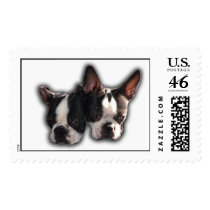 Two of a kind stamp