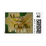Two of a Kind Wedding Postage Stamp