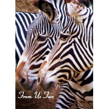 Two of Us_ Card_by Elenne card