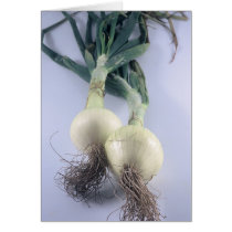 Two Onions cards