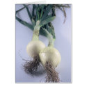 Two Onions cards