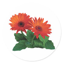 Two Orange Gerbera Daisies stickers by SusanSavad Two Orange Gerbera Daisies stickers