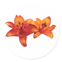 Two Orange Lilies stickers by SusanSavad Two Orange Lilies stickers