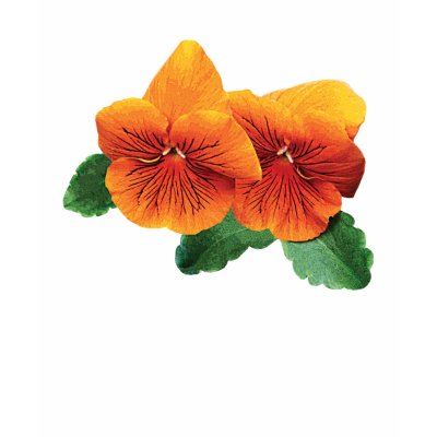 Two Orange Pansies Ladies T shirt by SusanSavad