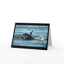 Two Orcas Greeting Card