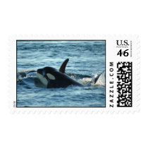 Two Orcas Stamps