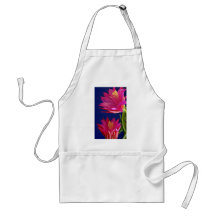 Two orchid cactus blooms  flowers aprons