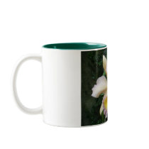Two Orchids mugs by JLWinther Two Orchids mugs