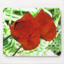 Two Oriental Poppies Mouse Pad