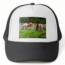 Two Paint Horses grazing Hat