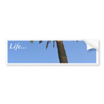 Two Palm Trees With Blue Sky bumper stickers