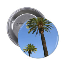Two Palm Trees With Blue Sky Pin