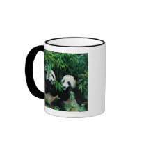 Two pandas eating bamboo together, Wolong, 2 Coffee Mugs