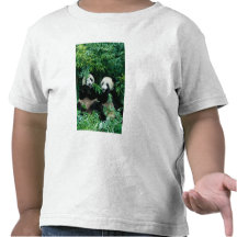 Two pandas eating bamboo together, Wolong, 2 Tshirt
