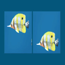 Two Panels with Two Copper-banded Butterfly Fish canvas prints
