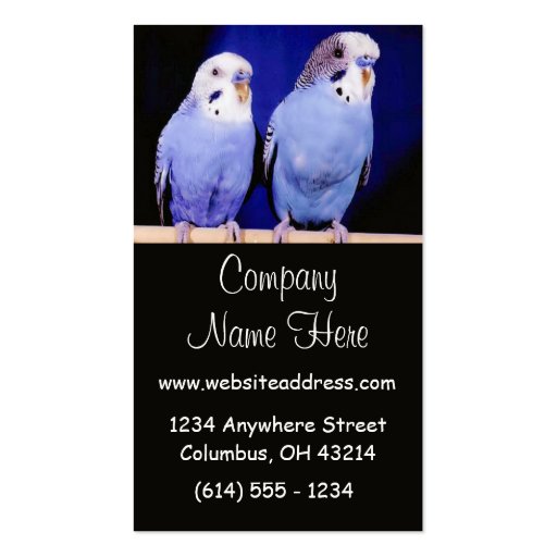 Two Parakeets Business Cards (front side)