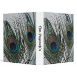 Two Peacock Feathers with White binders