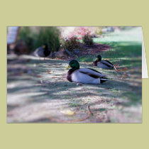 Two peas in a pod cards