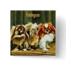  - Vintage dog art featuring two adorable Pekingese dogs.: Sizes 