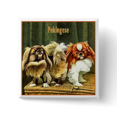 Two Pekingese Dogs Pinback Button by VintagePets