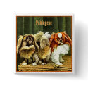Two Pekingese Dogs buttons by VintagePets Two Pekingese Dogs buttons