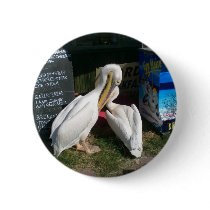 Two Pelicans Pin