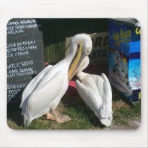 Two Pelicans Mouse Pad