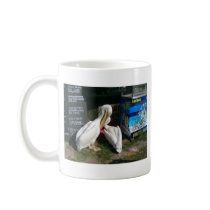 Two Pelicans Coffee Mugs
