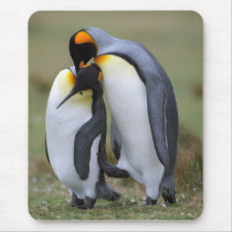 Two penguins mouse pad