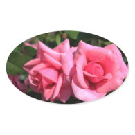 two perfect hot pink rose flowers. love oval stickers