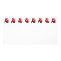 Two Pink Carnations and Fern Customized Photo Card