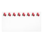 Two Pink Carnations and Fern Customized Photo Card