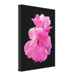Two Pink Roses in Autumn Stretched Canvas Prints