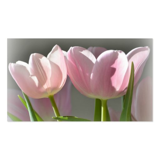 Two Pink Tulips Business Card Template (back side)