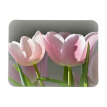 Two Pink Tulips premium magnets