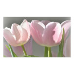 Two Pink Tulips Sticker Two Pink Tulips Sticker