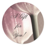 Two PinkTulips Raindrops, photography, template Sticker