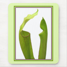 Two Pitcher Plants Mousepad